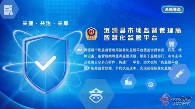 监管信息化